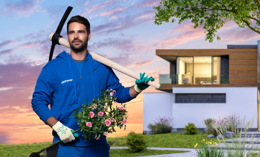 Gärtner mit Rosenpflanze vor modernem Haus bei Sonnenuntergang Gartenbau Aargau Schoop Gartenbau