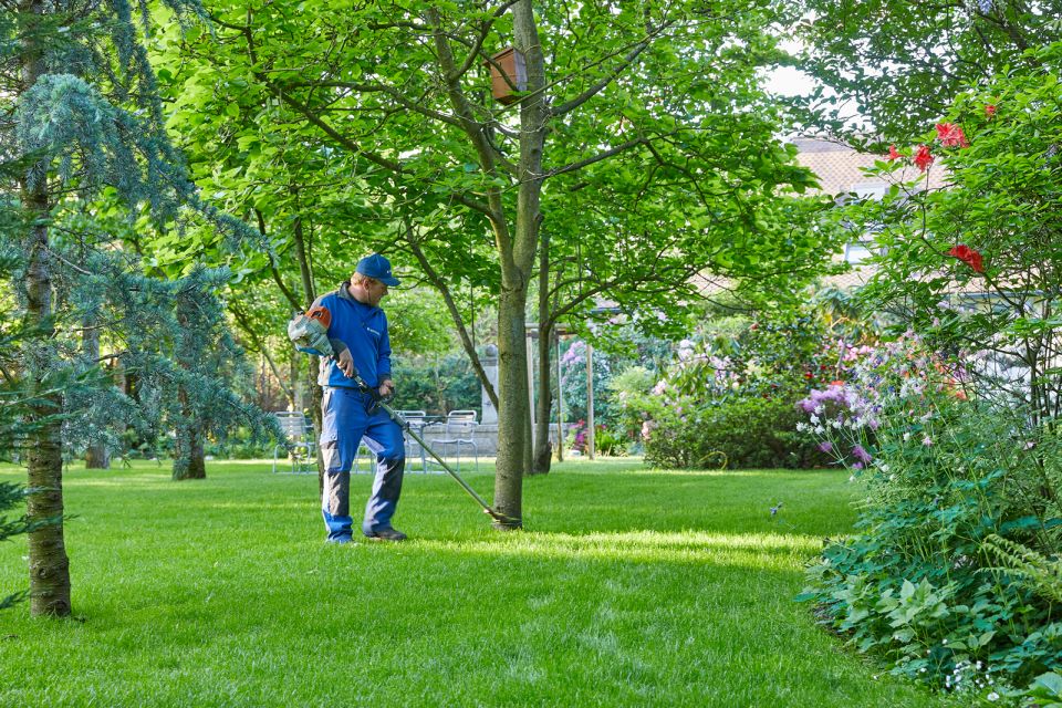 Gartenpflege Rasen trimmen, Gärtner mit Rasentrimmer in Privatgarten, Gartenunterhalt Schoop