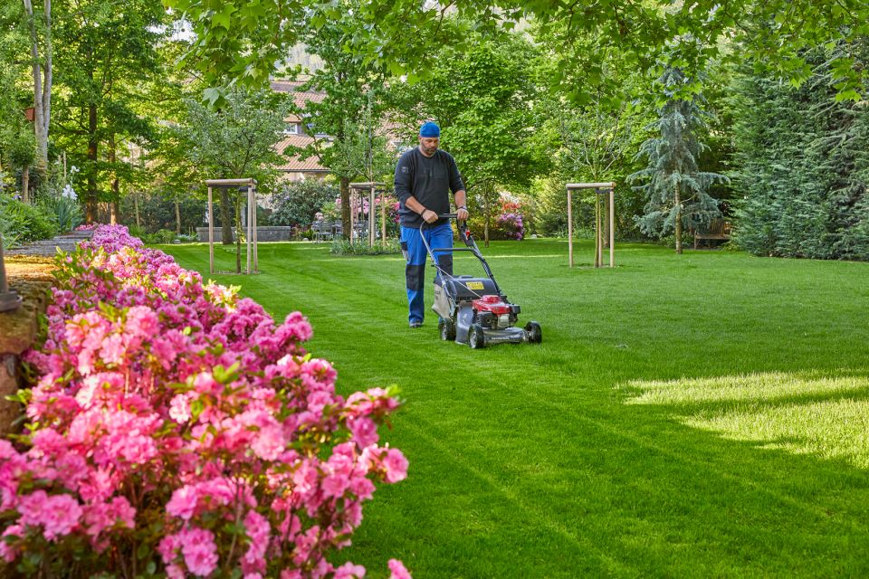 Gärtner beim Rasen mähen mit Rasenmäher, Schoop Gartenpflege in Turgi